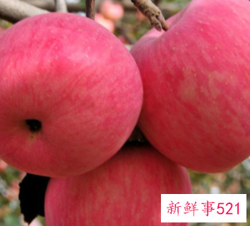 刮油减脂减肥有哪些蔬菜