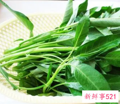 空心菜为什么叫饿死老公菜