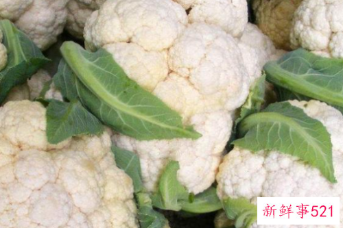 梦见买桂圆寓意