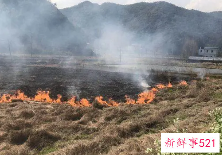 梦见稻草着火了是什么征兆