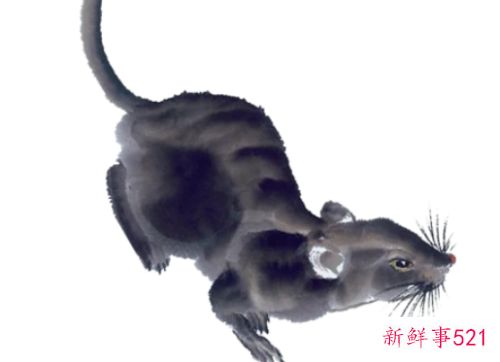 世上最好老公是什么生肖