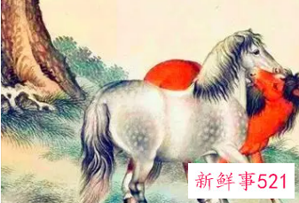 属马女人戴什么招财又旺夫