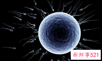 究竟什么是备孕