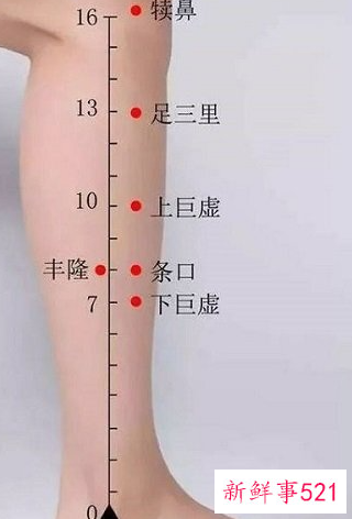 怎么找到足三里的准确位置