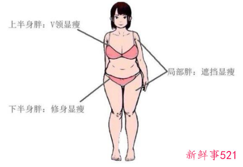 适合肥胖人穿的裙子款式