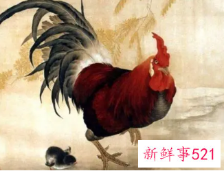 属鸡的贵人是什么生肖