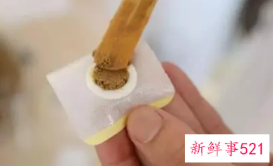 三伏贴一般贴哪里