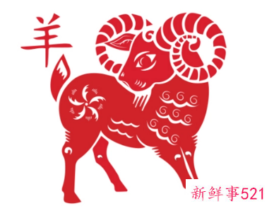 属羊的幸运植物和幸运花是什么