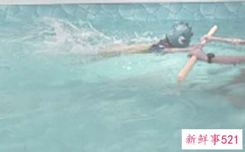 怎么游泳耳朵不进水