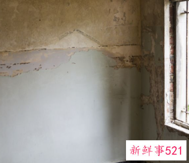 房间墙壁发霉对身体有害吗