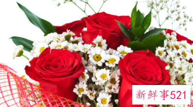 第一个情人节送什么花给女朋友