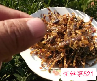吃炸蝎子有什么好处吗
