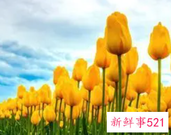 为什么心情好病就好的快