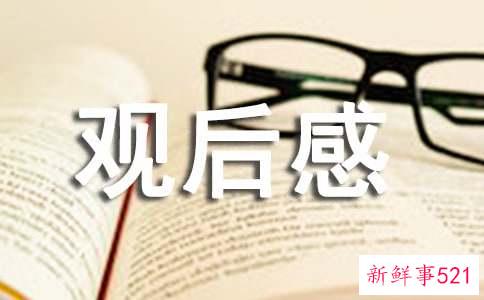 长津湖观后感800字高中生