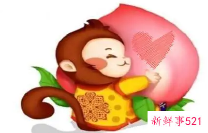 属猴女人适合生产行业做生意