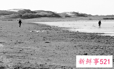 梦见枪声什么意思