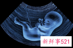 怀孕五个月宝宝胎动频繁