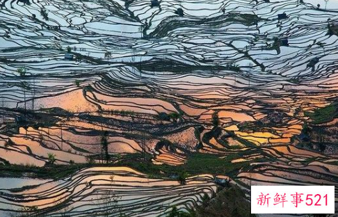 自驾游最美路线排名