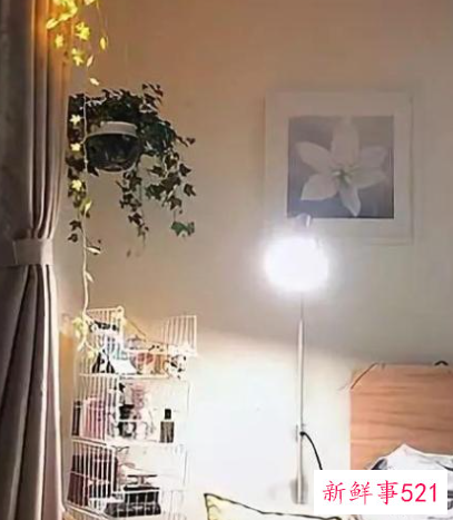 房间经常不通风会怎么样