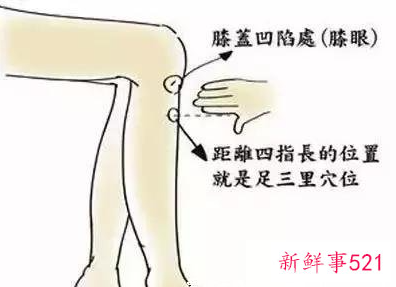 怎么找到足三里的准确位置