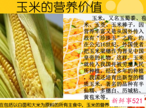玉米的价值和作用