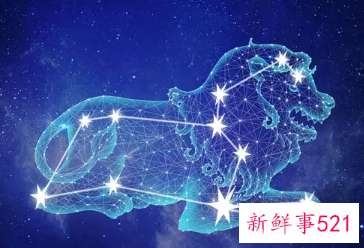 什么细节能感动狮子女