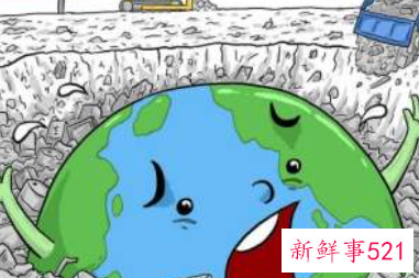 当代大学生如何保护野生动物