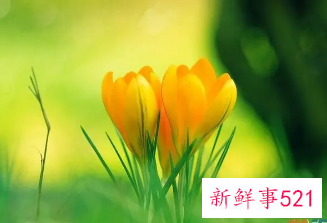 转运招财抖音名