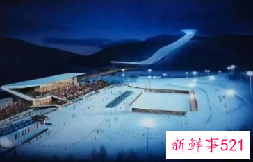 2022虎年春节联欢晚会主持人