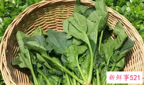 上班族早餐吃什么简单又有营养