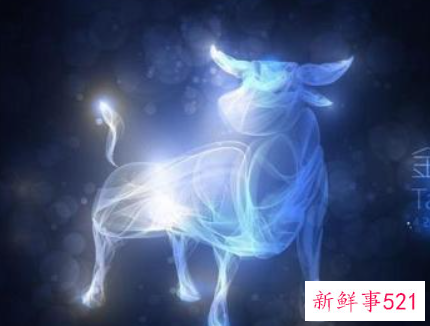 金牛座都有哪些性格特点