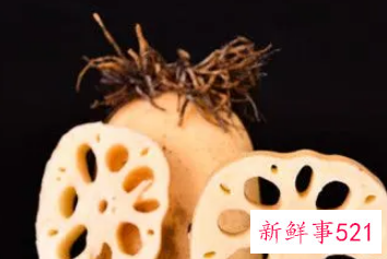 莲藕大的好还是小的好