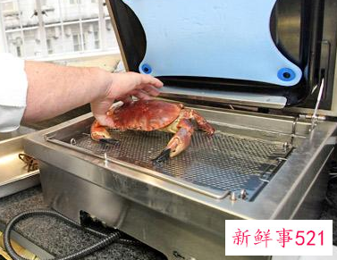 英国禁止活煮龙虾螃蟹吗