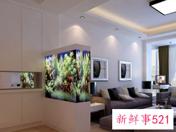 客厅鱼缸的摆放