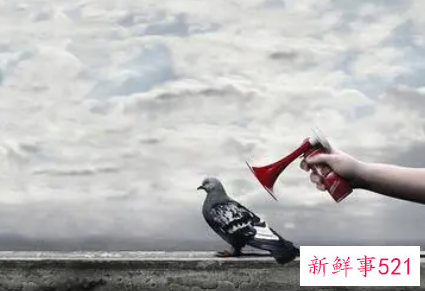 面试被放鸽子是谁的错