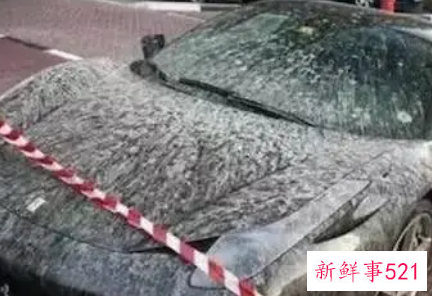 梦见车脏了是什么意思