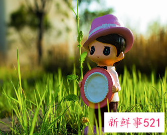 地稔子什么季节成熟