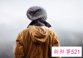 适合属兔的网名二字