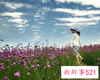 梦见去旅游看风景