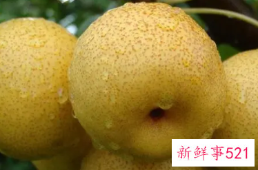 梦见把梨送给朋友的周公解梦