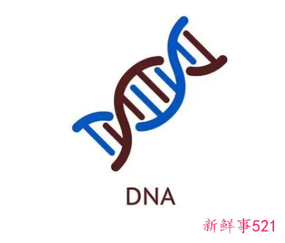 宝宝哪些特征来自于你的DNA