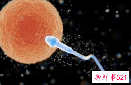 怀孕最早期微妙感觉