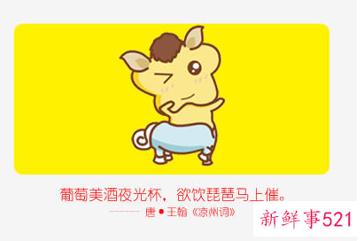 属马女人的性格弱点