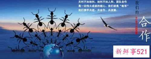 如何培养团队合作精神