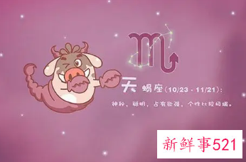 看天蝎女和金牛男的配对结果