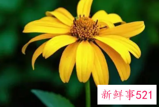 转运招财抖音名