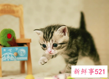 热恋情话最暖心短句