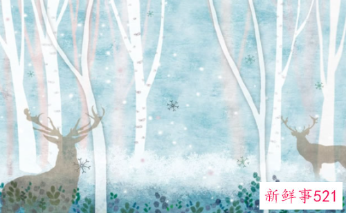 生肖羊2021年运势