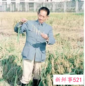 袁隆平骨灰盒被五星红旗盖着