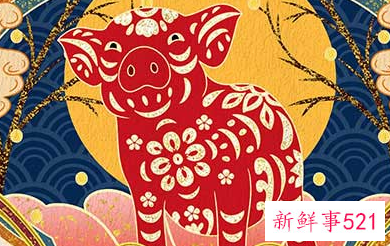 属猪最命苦出生日期是什么时候